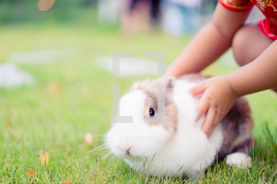 a toddler petting a bunny 