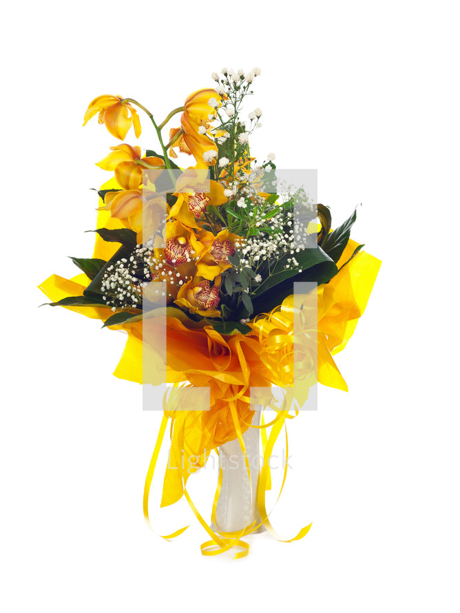 Bouquet of fresh bright yellow orchid on white background.