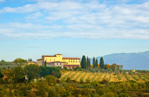 Typical Tuscan hill, with cypresses, olive trees and vineyards