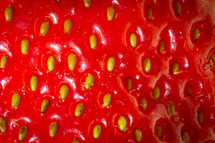 strawberry background 