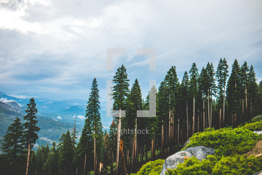 Clouds above mountain peaks outdoors and trees in a forest  | Landscape | Nature | Horizon | Strength | Outside | Journey | Summer 