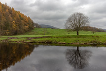 Autumn scene reflected in the River Hodder near The Inn at Whitewell, Lancashire, England, United Kingdom