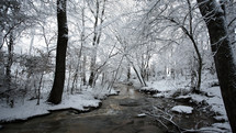 Stream running through snow covered trees.