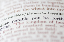 The parable of the mustard seed. 