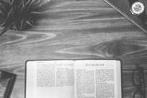 Zechariah, open Bible, Bible, pages, reading glasses, wood table 