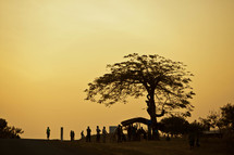 Silhouettes of people under a tree in Malawi, Africa. 