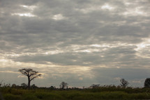 Malawi, Africa landscape