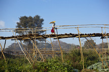A modest wood walking bridge in Malawi, Africa