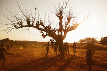 Children climbing a tree in Malawi, Africa. 
