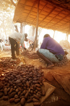Potatoes in a market in Malawi, Africa