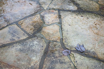 leaves on stone pavers 