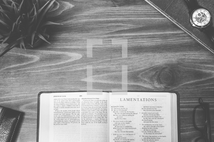 Lamentations, open Bible, Bible, pages, reading glasses, wood table 
