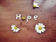 hope in daisy petals