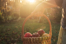 a woman carrying a basket of apples 