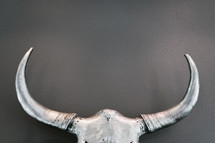 cow skull 