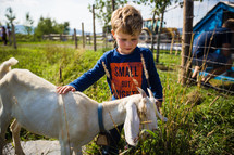 a boy with a goat 