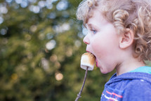 a child eating a roasted marshmallow 