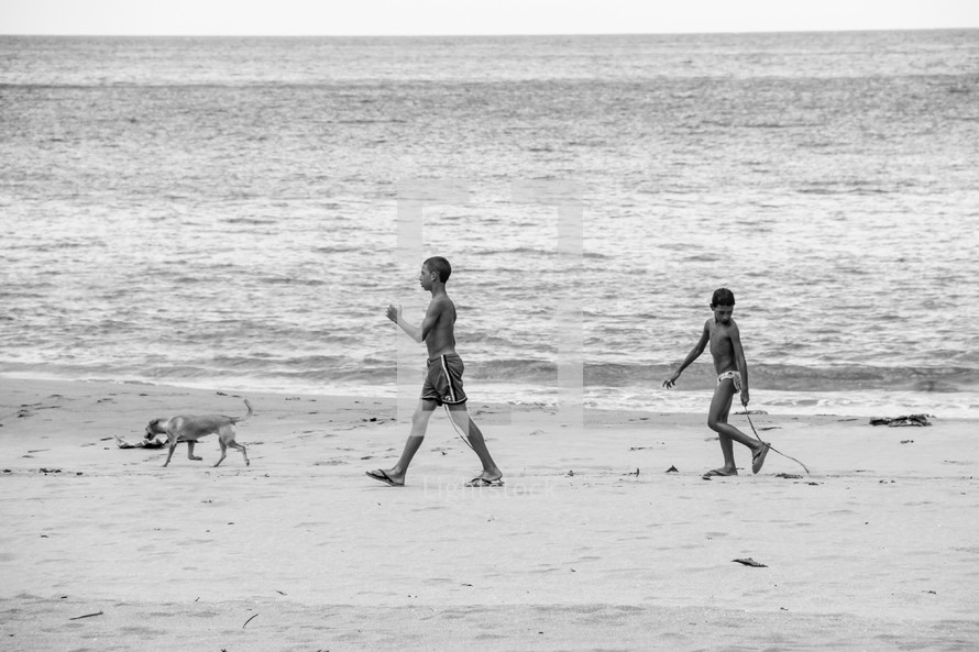 children and a dog walking on a beach 