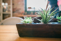 house plant centerpiece on a wood table 