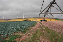 wind turbine and irrigation system on a farm 