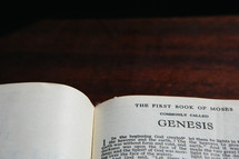 The first book of Moses Genesis