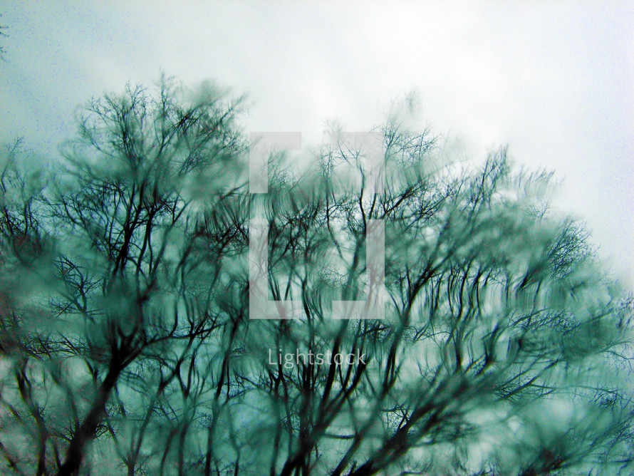 A wet blurry window showing the cold and bare trees of winter time where the air looks sharp and cold and the sky dark and cloudy. 