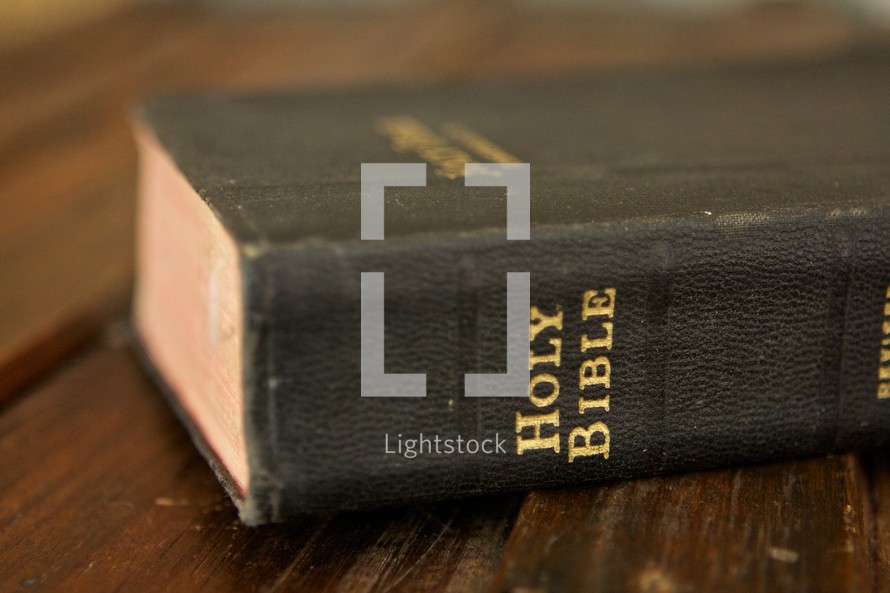 Bible spine