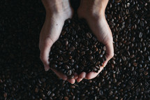 cupped hands and coffee beans 