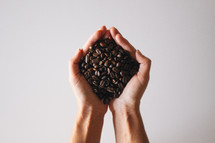 cupped hands holding coffee beans 