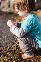 a child looking for shells along a shore 