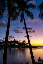 tropical shore at sunset 