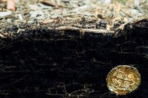 gold coin in dirt 