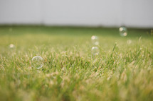 Bubbles floating over a field of grass.