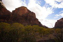 trees at the bottom of a canyon and red rock cliffs 