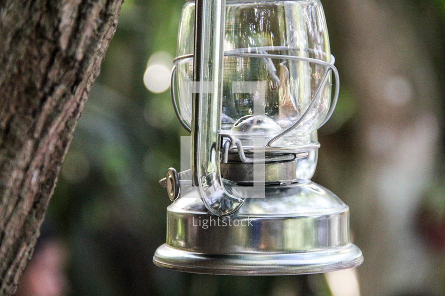 a lantern hanging on a tree 