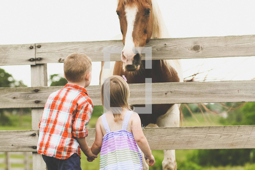 brother and sister looking at a horse 