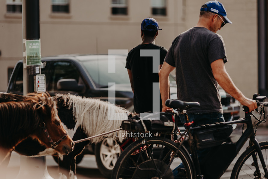 men with bicycle and ponies on a city sidewalk 