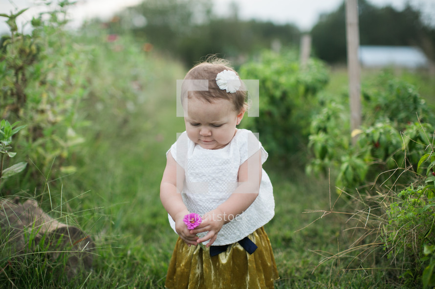toddler girl holding a flower 
