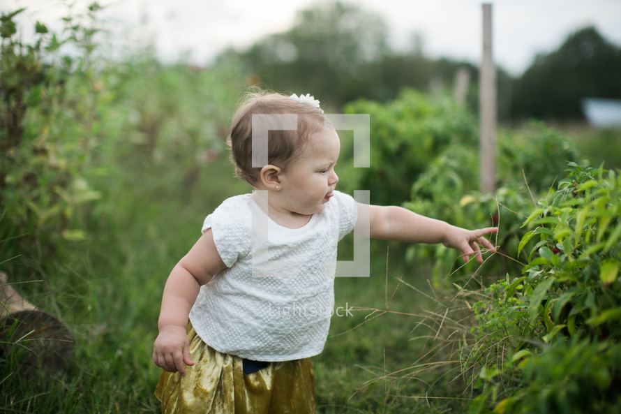 a toddler girl standing in grass