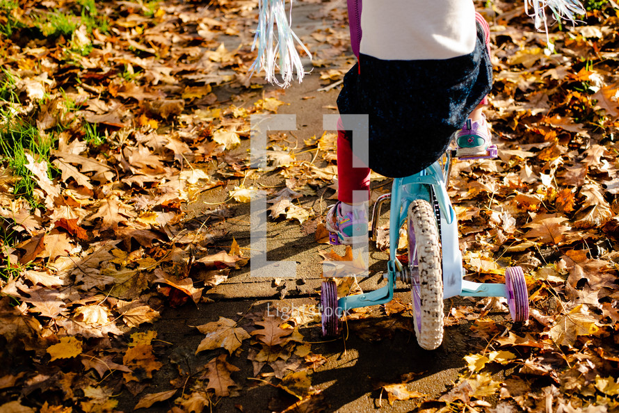 A little girl riding a bike with training wheels  in the autumn