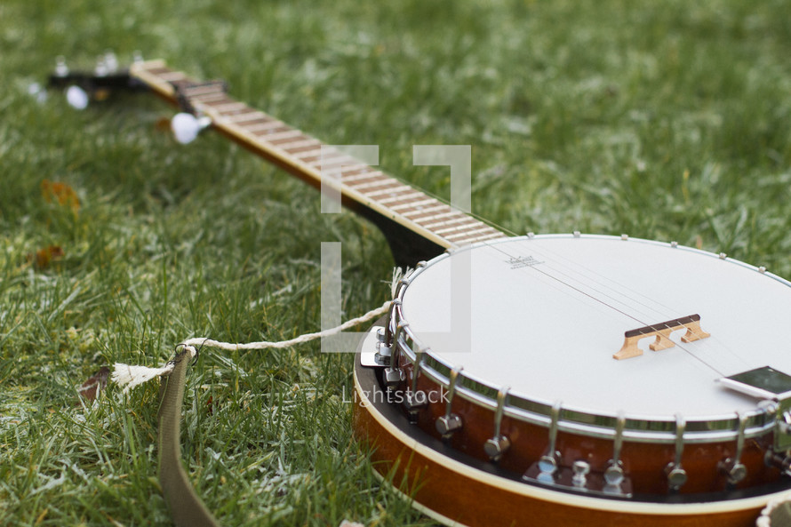a mandolin in the grass 