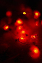 red colored Christmas lights on a Christmas tree