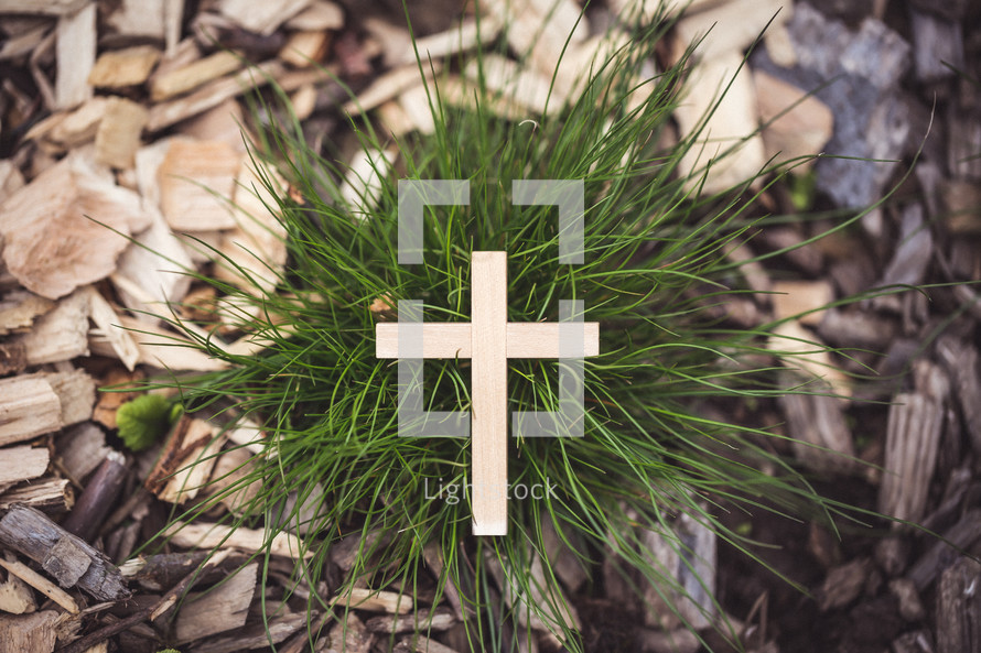 wood cross in grass 