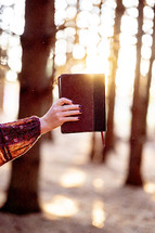 a woman's arm holding out a Bible while in the woods 