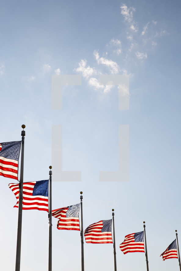 row of American flags in flag poles 