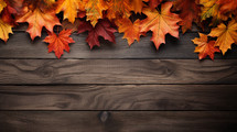 Fall maples leaves on a wood background. 