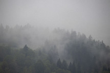 fog over a mountain forest 