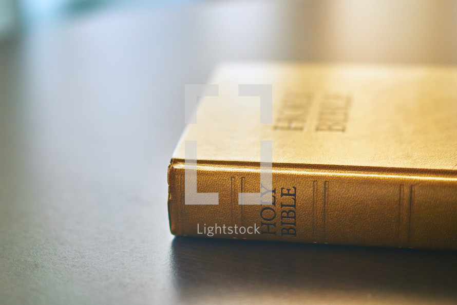 Side of Bible on a table with light shining on it.