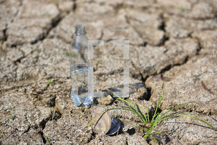 A transparent bottle of clean drinking water stands in the middle of dry, cracked desert land. Global warming concept