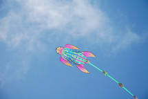 turtle kite